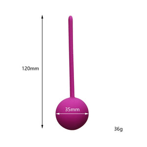 Safe Silicone Smart Ball Kegel Ball Ben Wa Ball Vagina Tighten Exercise Machine Vibrator Vaginal Geisha Ball Sex Toy for Women